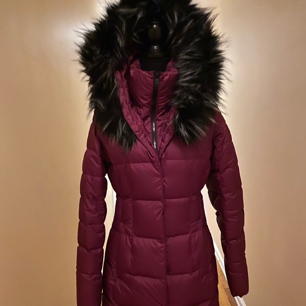 Northface 550 Coat